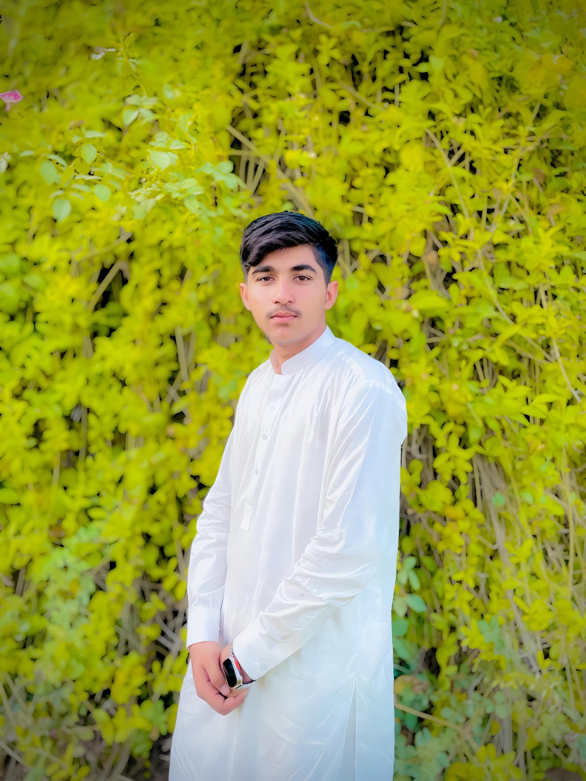 Profile Picture
